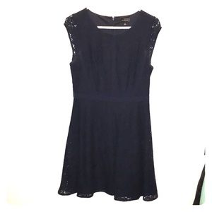The Limited Dark Blue Navy Lace Dress